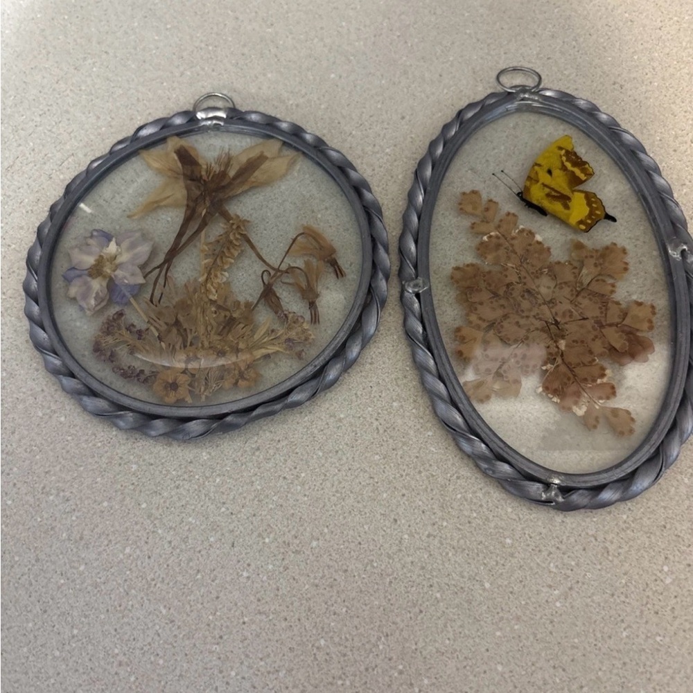 Vintage Dried Pressed Flowers - Butterfly Pewter Frame By Lasting Impressions - Picture 4 of 4